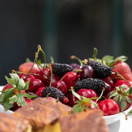 公寓 Kofos Limin 库佛斯港