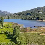 κωφός λιμήν