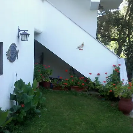 Kofos Limin * ポルト・クウフォ